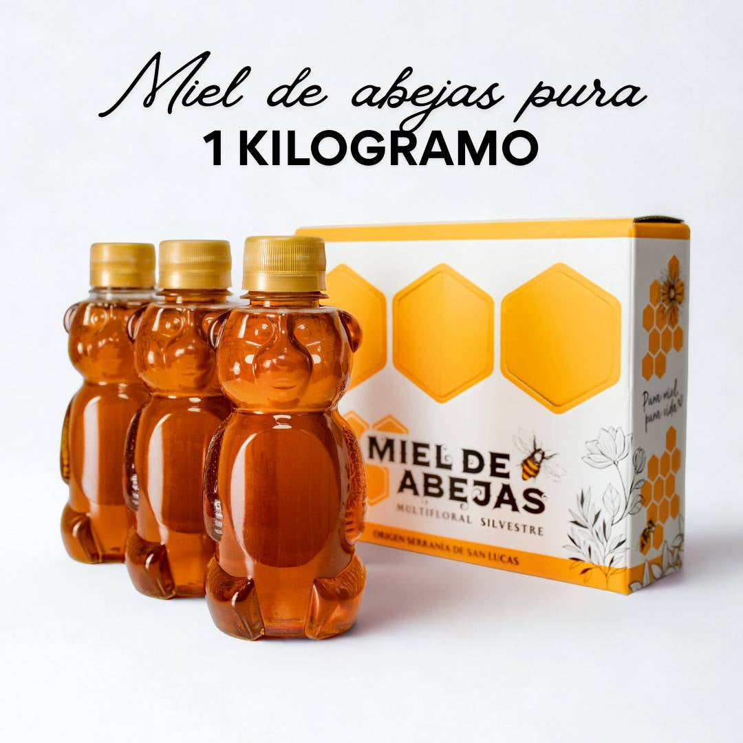 CAJA 1 KILOGRAMO MIEL MULTIFLORAL SILVESTRE